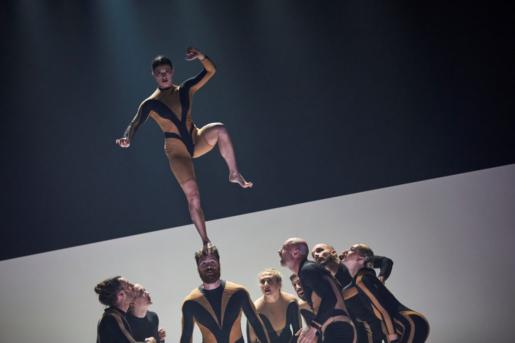 ZEIT FÜR ZIRKUS! 14. bis 16. November
